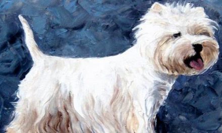 WESTIE . huile couteau