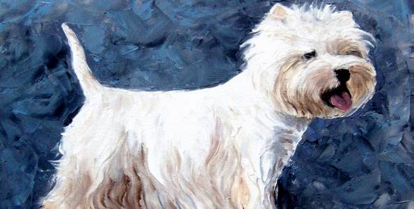 WESTIE . huile couteau