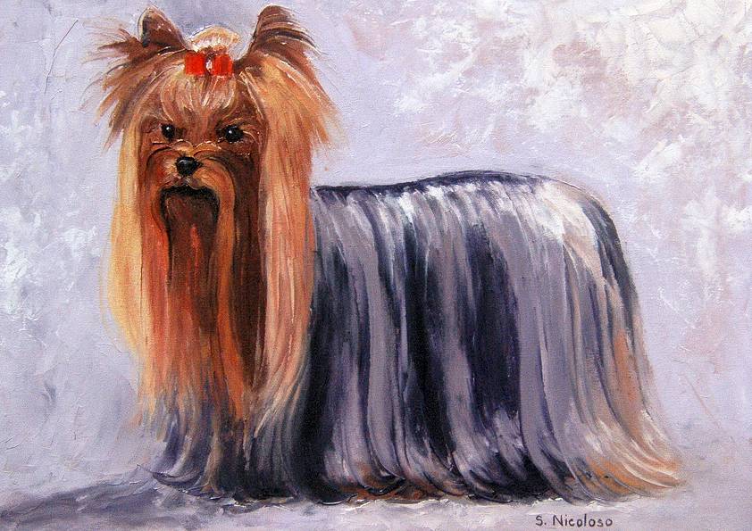 YORKSHIRE TERRIER (peinture)