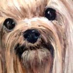 WOLFGANG . huile couteau