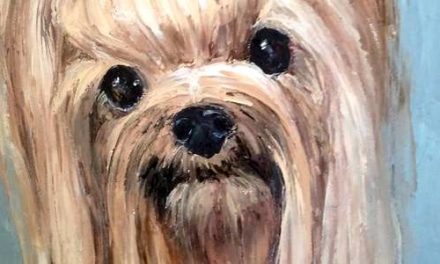 WOLFGANG . huile couteau