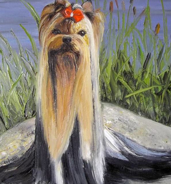 YORKSHIRE TERRIER (peinture)