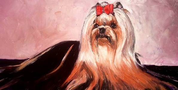 YORKSHIRE TERRIER . huile couteau