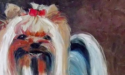 YORKSHIRE TERRIER . huile couteau