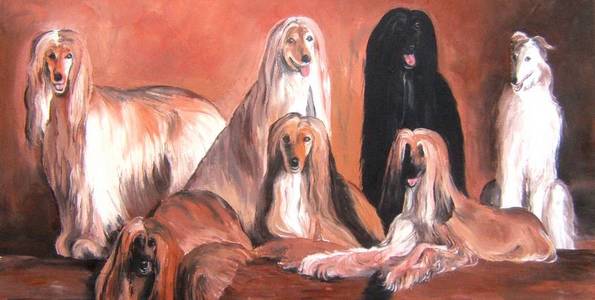 LEVRIERS AFGHAN . huile couteau