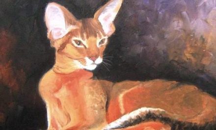 ABYSSIN . huile couteau