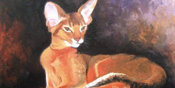 ABYSSIN . huile couteau