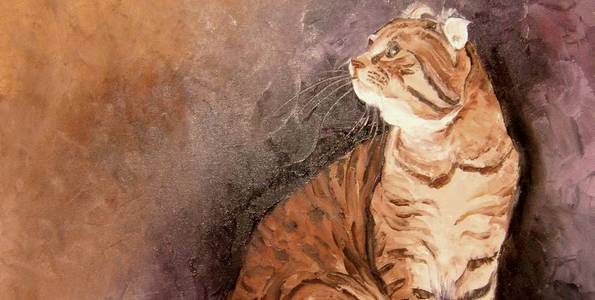 AMERICAN CURL . huile couteau