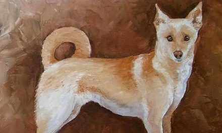 BASENJI . huile couteau