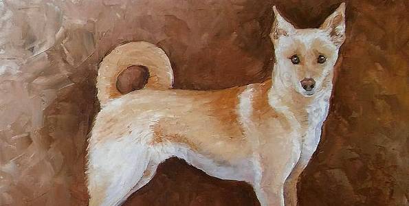 BASENJI . huile couteau