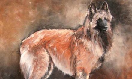 BERGER BELGE . huile couteau