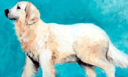 BERGER DE PODHALE . huile couteau