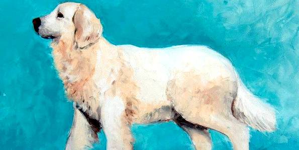 BERGER DE PODHALE . huile couteau