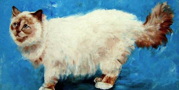 BIRMAN . huile couteau