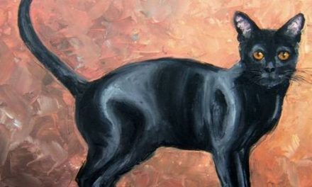 BOMBAY . huile couteau