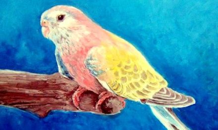 BOURKE JAUNE . huile couteau