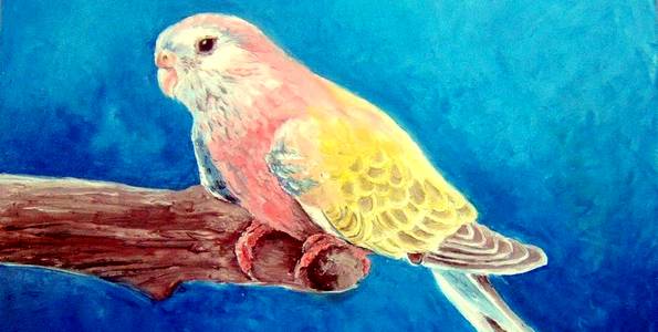 BOURKE JAUNE . huile couteau