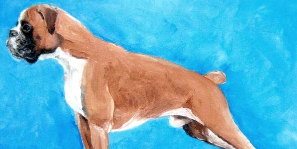 BOXER . huile couteau