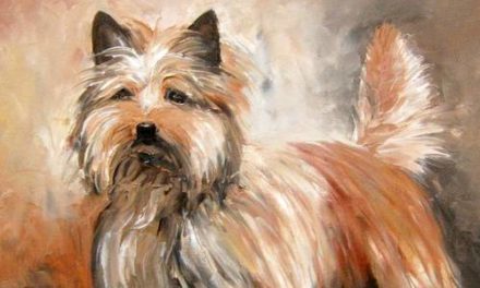 CAIRN TERRIER . huile couteau