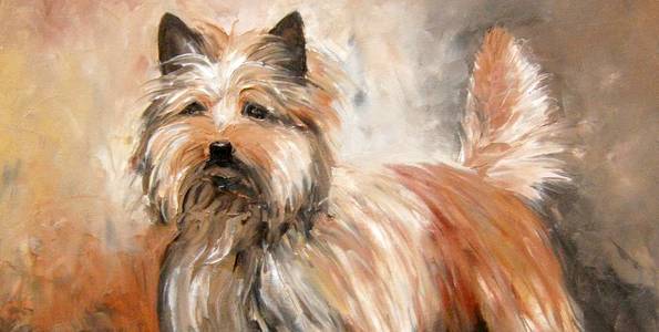 CAIRN TERRIER . huile couteau