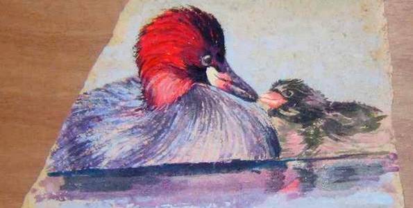 CANARD & CANETON . gouache