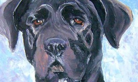 CANE CORSO . huile couteau