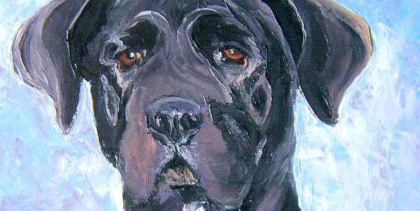 CANE CORSO . huile couteau