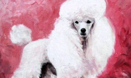 CANICHE . huile couteau