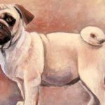 CARLIN . huile couteau