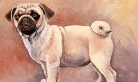 CARLIN . huile couteau