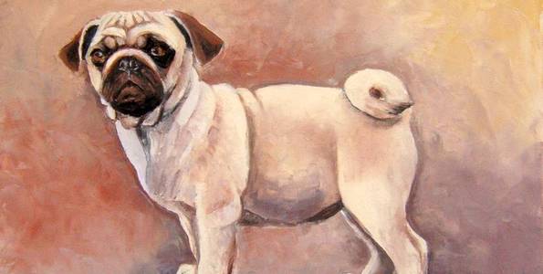 CARLIN . huile couteau