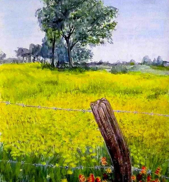 CHAMPS JAUNE (gouache)