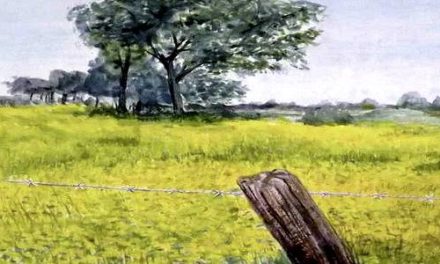 CHAMPS JAUNES . gouache