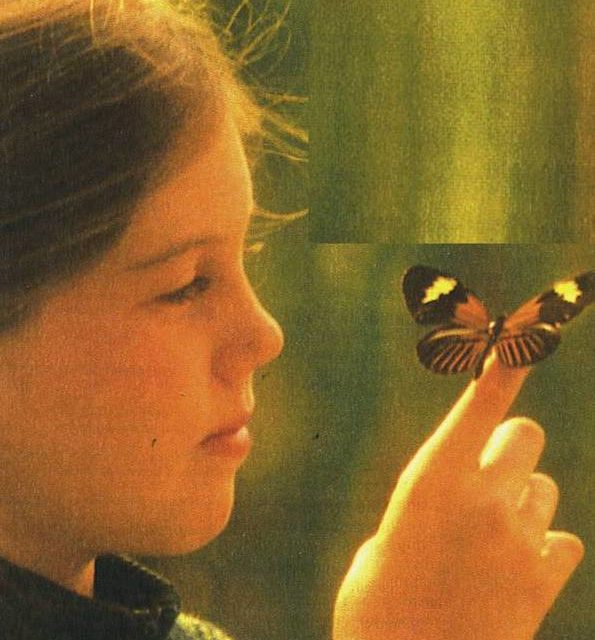 CHARME DU PAPILLON (original)