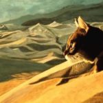 CHAT DANS LES DUNES . gouache
