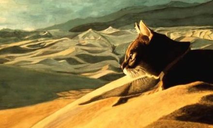 CHAT DANS LES DUNES . gouache