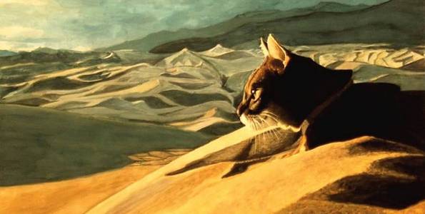 CHAT DANS LES DUNES . gouache