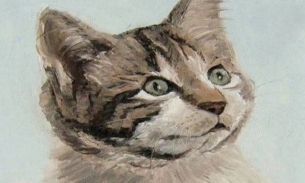 CHATON . huile couteau