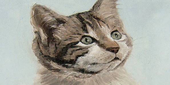 CHATON . huile couteau