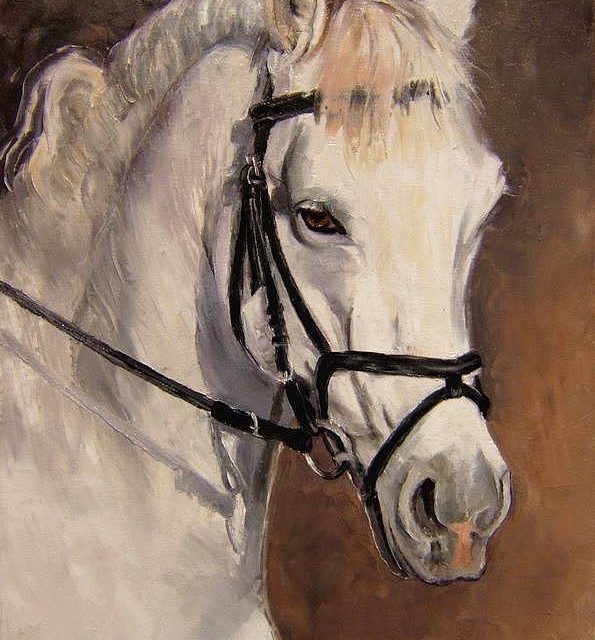 CHEVAL BLANC ET HARNAIS (peinture)