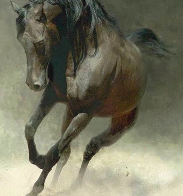 CHEVAL FOUGUEUX (original)