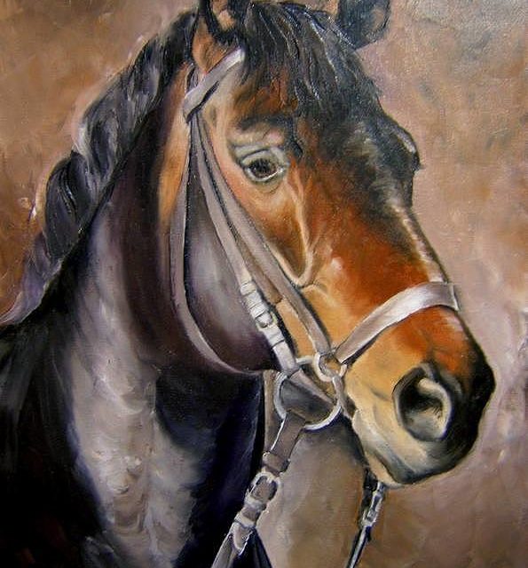 CHEVAL NOIR ET HARNAIS (peinture)