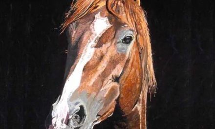 CHEVAL . gouache