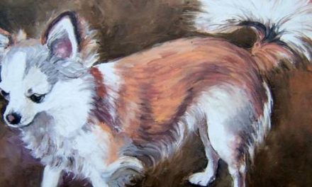 CHIHUAHUA . huile couteau