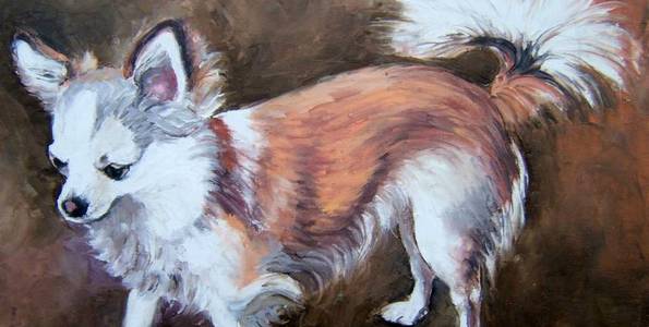 CHIHUAHUA . huile couteau