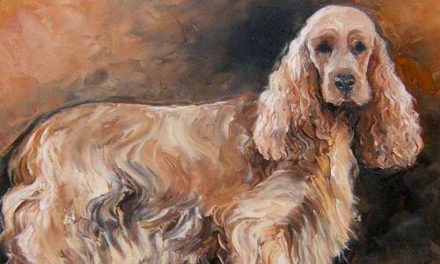 COCKER ANGLAIS . huile couteau