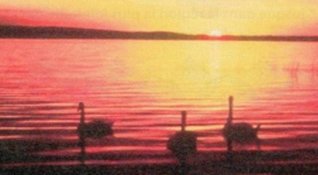 CYGNES AU CLAIR DE LUNE (original)