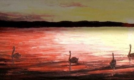 CYGNES AU CLAIR DE LUNE . huile couteau