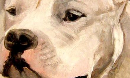 DOGUE ARGENTIN . huile couteau