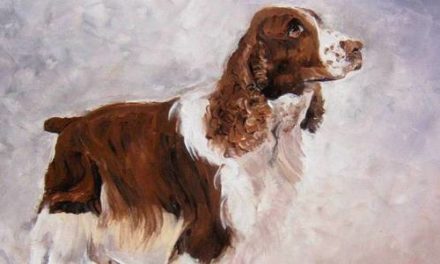 ENGLISH SPRINGER SPANIEL . huile couteau